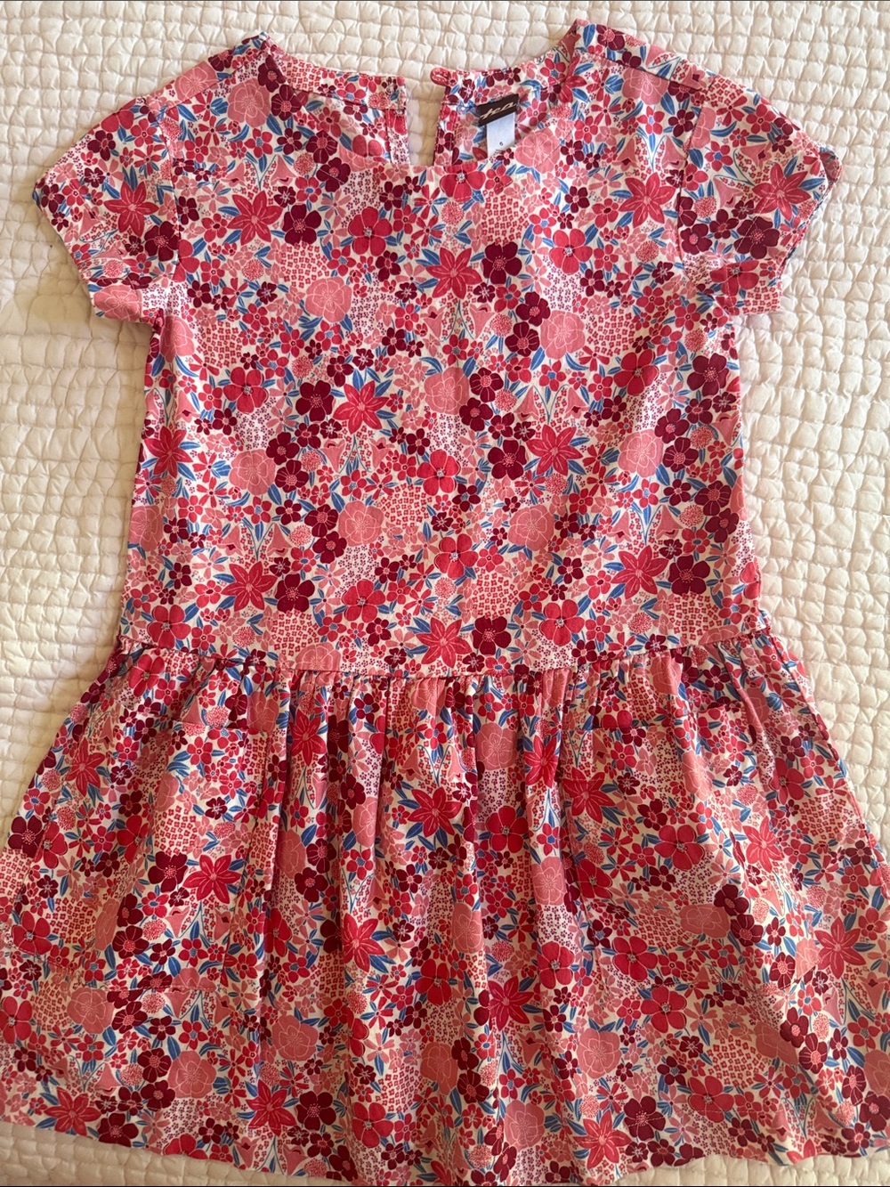 Girls Floral Drop-Waist Dress in Pink & Red